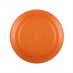 Neon Orange